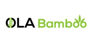Ola Bamboo | Wooden toothbrush made in Canada