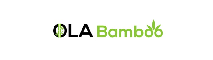 Ola Bamboo