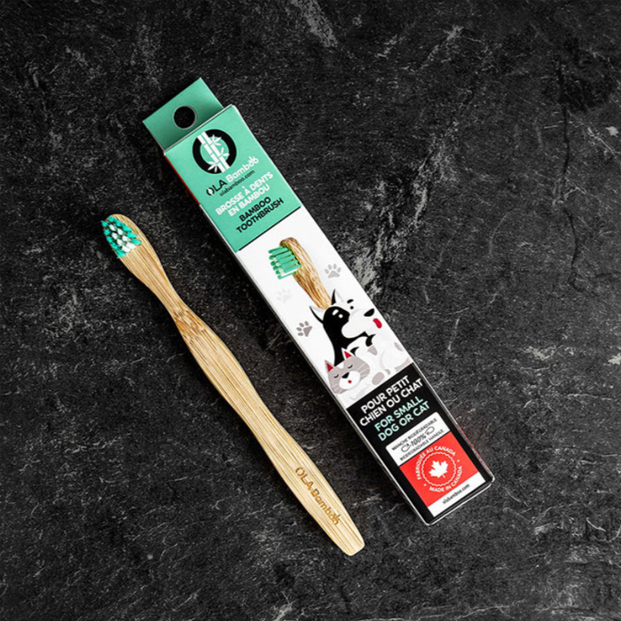 Brosse à dents pour chat ou petit chien
