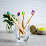 Brosse à dent en bois de bambou pour enfants bleue et rouge, fait au Québec par Ola Bamboo, un choix écologique