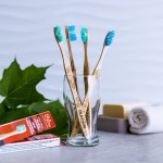 Brosse à dent en bois d'érable, bleu, fait au Québec par Ola Bamboo, un choix écologique