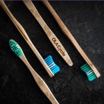 Brosse à dent en bois d'érable, vert, fait au Québec par Ola Bamboo, un choix écologique