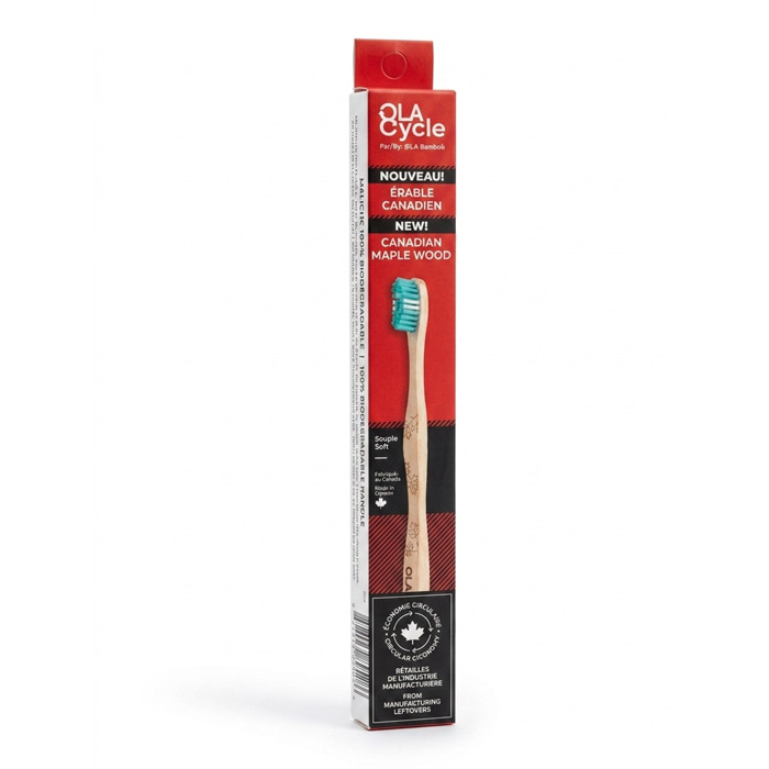 Brosse à dents en bois d'érable - Vert